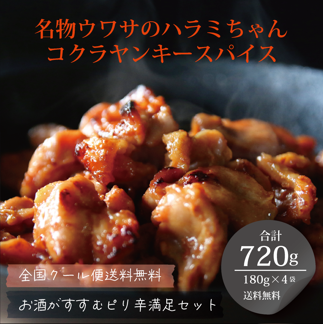 [送料無料クール便]ウワサのハラミちゃん「コクラヤンキースパイス満足セット」720g