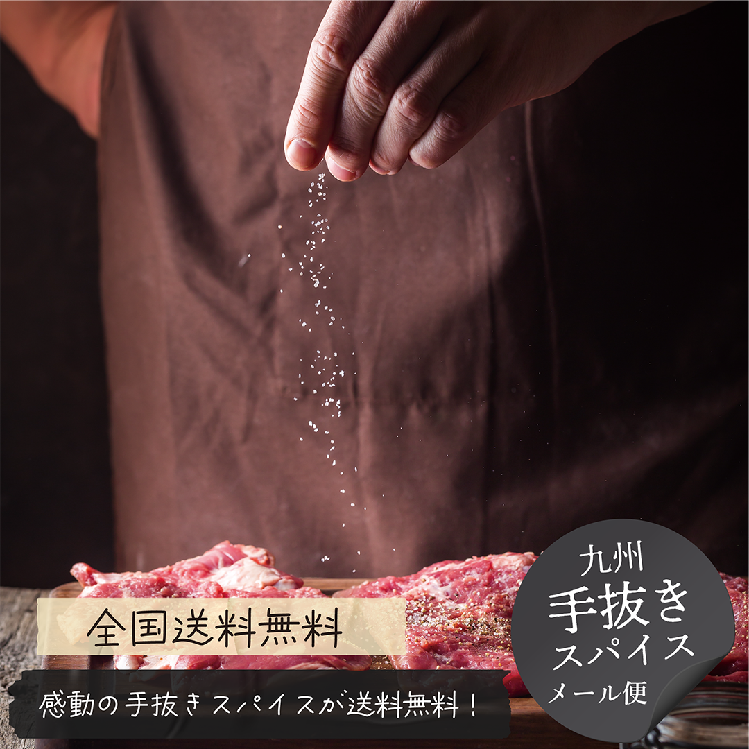 九州手抜きスパイス [送料無料メール便]
